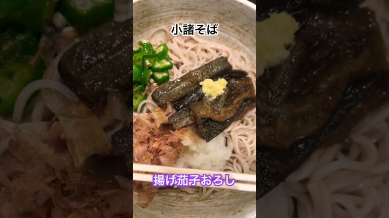 季節限定 揚げ茄子おろし🍆 #グルメ #なす #そば #小諸