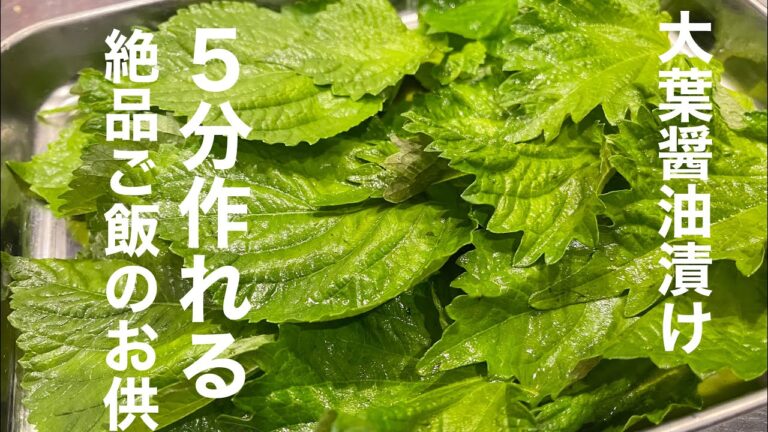 【ご飯泥棒】ごはんが無限に食べられる!!青じそ大葉の醤油漬け