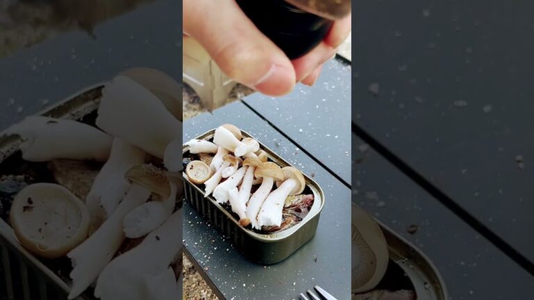 オイルサーディンの缶詰を直火で調理 #shorts #焚き火#キャンプ