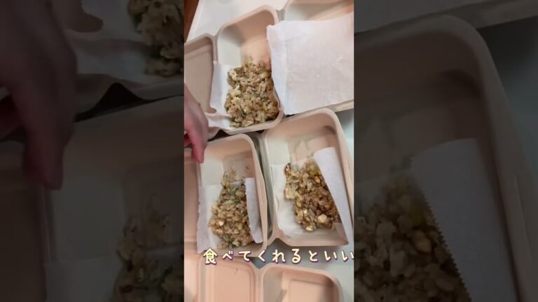 チャーハン弁当。3兄弟テキトーごはん。ほうれん草シュウマイとだし巻き卵を入れて。お弁当に詰めるといつもより食べてくれるのはなぜだろう？？
