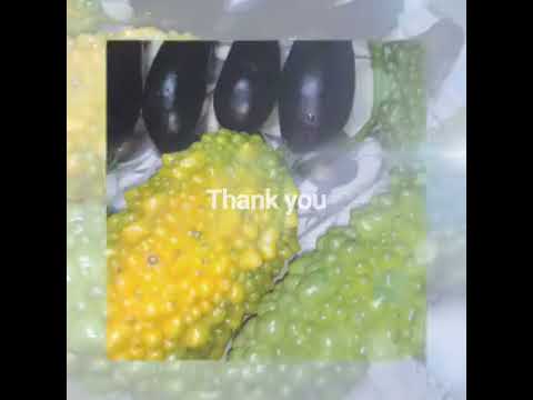 neko siroiの裏側！嫁ぎ先料理！ 家庭菜園ゴーヤ♪ OneGoodPerDay