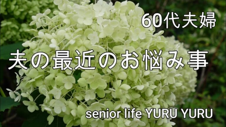 【シニアライフ】嫁と孫が遊びに来ました、ビーフシチューをカレーにリメーク、庭の様子、