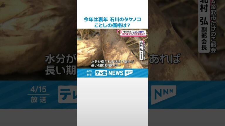 【春の味覚】“裏年”の石川のタケノコ　ことしの価格は？　 最盛期はゴールデンウイーク頃か #shorts