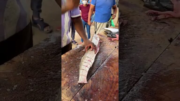 ⚠️Don’t Try this at Home ⚠️ | Whole Barracuda Fish Slicing in 5 Seconds