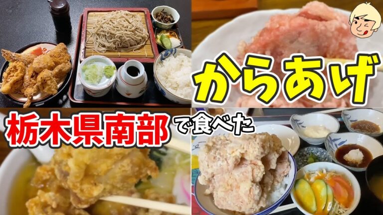 【絶品からあげ】栃木県南部で2021年までに食べた唐揚げまとめ【栃木グルメ】