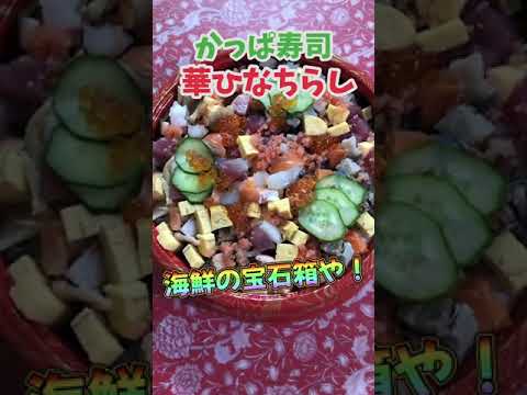 【かっぱ寿司】華ひなちらし◆海鮮の宝石箱！ #shorts