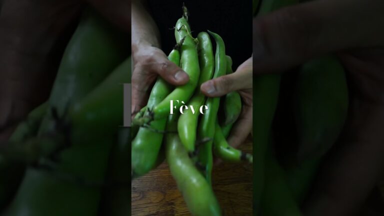 旬の野菜　そら豆の美味しい茹で方と新しい組み合わせ　#shorts