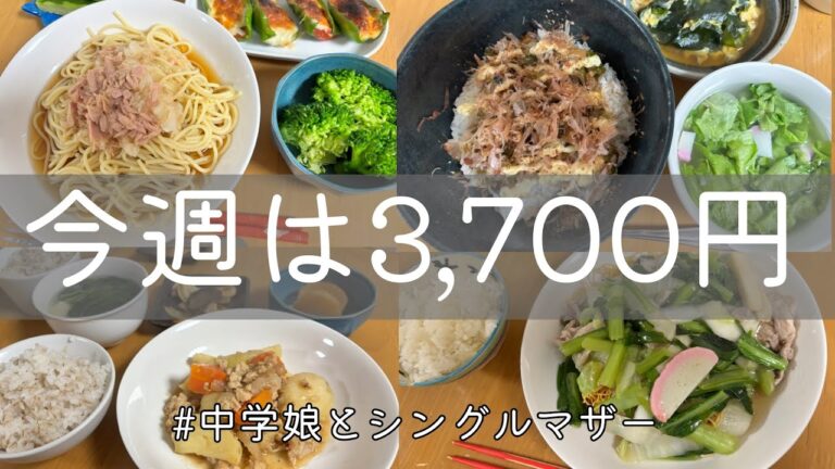 物価高でも予算は週5,000円／シンママの節約、簡単夜ご飯／味噌じゃが、お好み丼、豚のレタス巻き