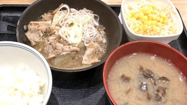 吉野家のねぎ塩豚定食を利用してみた。ぬふふの写真と動画