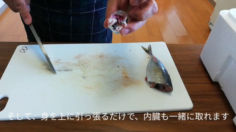 アジフライ用のアジのさばき方