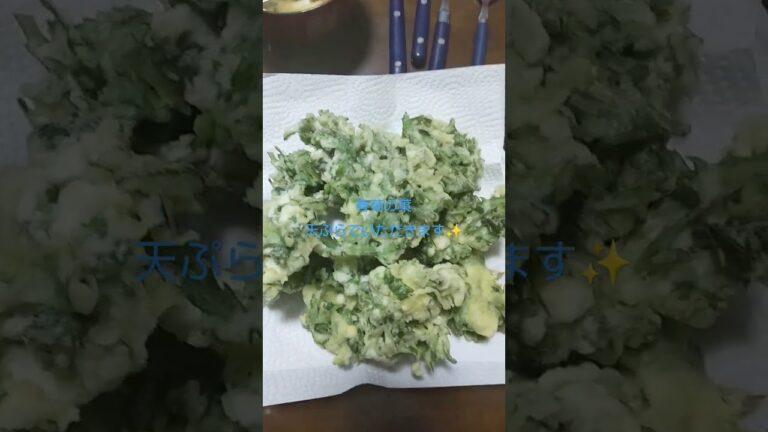 天ぷら頂きます✨