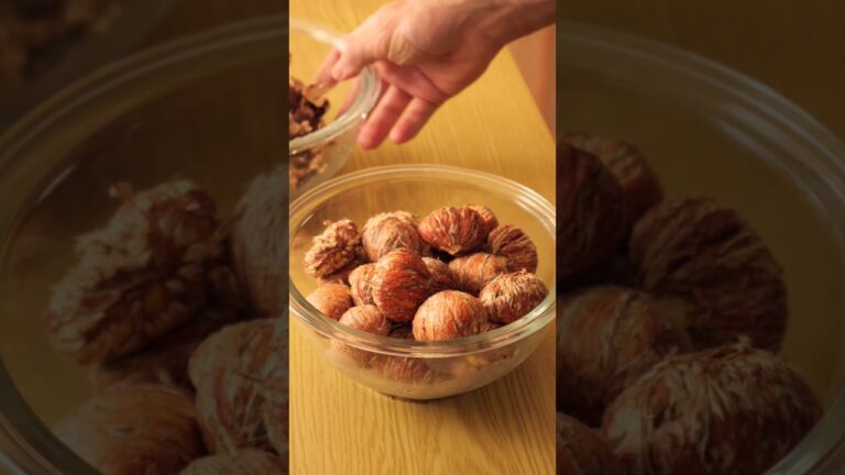 【栗の渋皮煮の作り方】#shorts