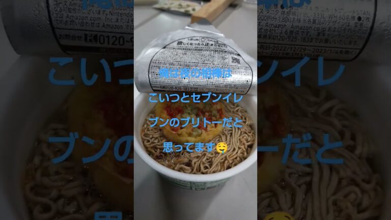 ハンバーグ提督ご飯シリーズ　夜食のチャンピオンは　緑のたぬきに決まりだ！　閃光のハサウェイ