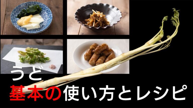 【うど　基本の使い方とレシピ】うどの正しい使い方を定番料理を作りながら解説。皮の剥き方、アクの抜き方などケースバイケースで一番適切な方法をばっちりレクチャーします。