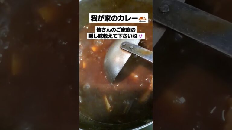 カレーライス🍛の隠し味は何ですか❔