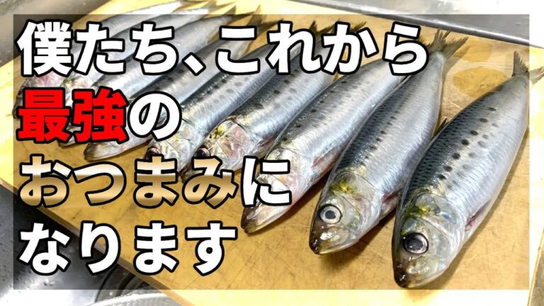 生イワシで作るつみれ揚げが悪魔的な美味さだった