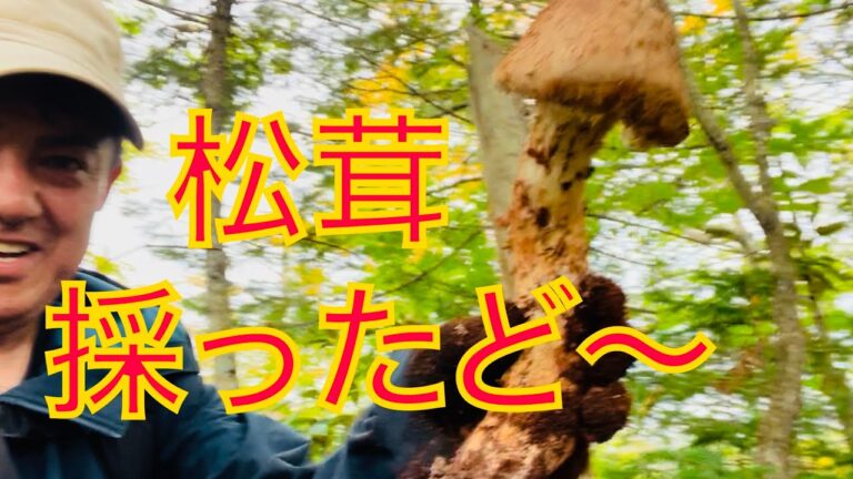 松茸収穫からの松茸料理