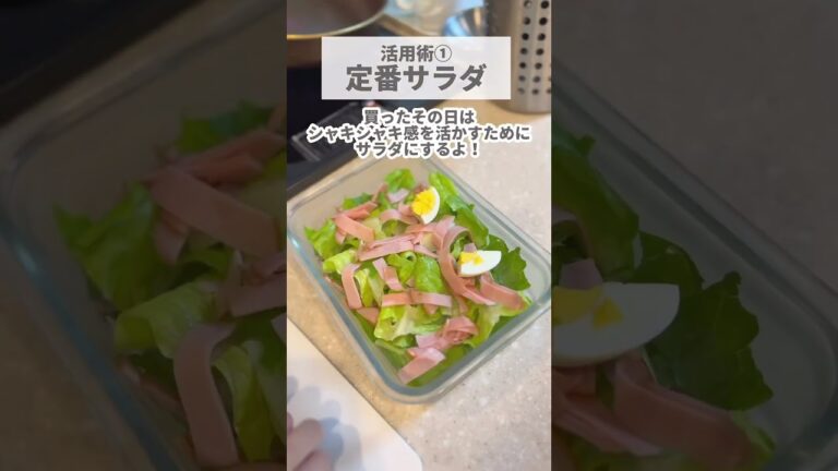 【葉野菜ってダメになりやすい...😱】ロメインレタスの活用術を伝授✨#野菜レシピ #節約レシピ #節約ごはん #節約メニュー #節約術公開 #節約生活術 #節約献立 #節約ママ#節約飯