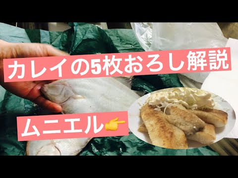 カレイのさばき方！5枚おろしで美味しい骨なしムニエル作ってみた