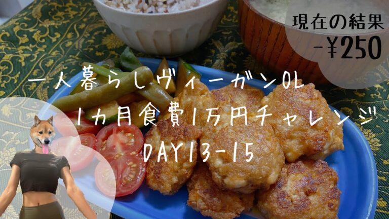 【一人暮らしOL】ヴィーガンの1ヶ月食費1万円チャレンジ⑤【現在の結果-¥250】
