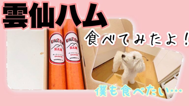 雲仙ハムを初めて食べてみました😋【日常】
