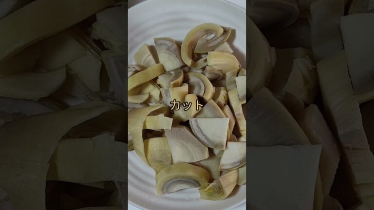 熊本県産 たけのこの土佐煮 #チャンネル登録お願いします #高評価お願いします #拡散希望