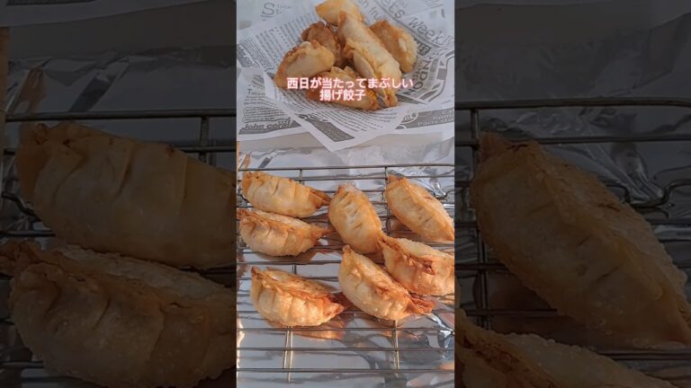 4人家族🏡晩ごはんメニュー🌃🍴ポテト揚げ餃子🥟#辻ちゃんレシピ