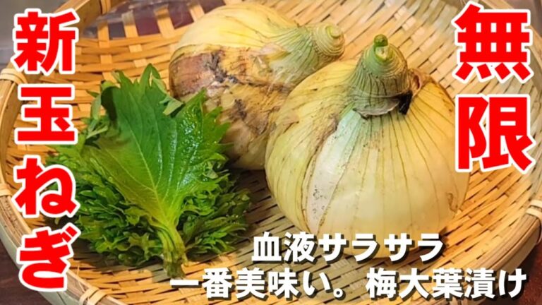 300万回再生された！一番美味しい！やみつき新玉ねぎの梅大葉漬け！ 作り置き 簡単 健康レシピ 美肌 ダイエット 高血圧 がん予防