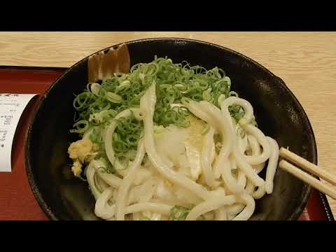 仵屋麦丸　おろし醤油うどん