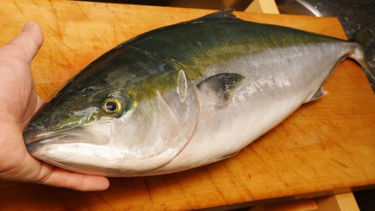 大分県の特産品「かぼすブリ」のさばき方と刺身（内臓の肝や胃袋もポン酢で美味しい）
