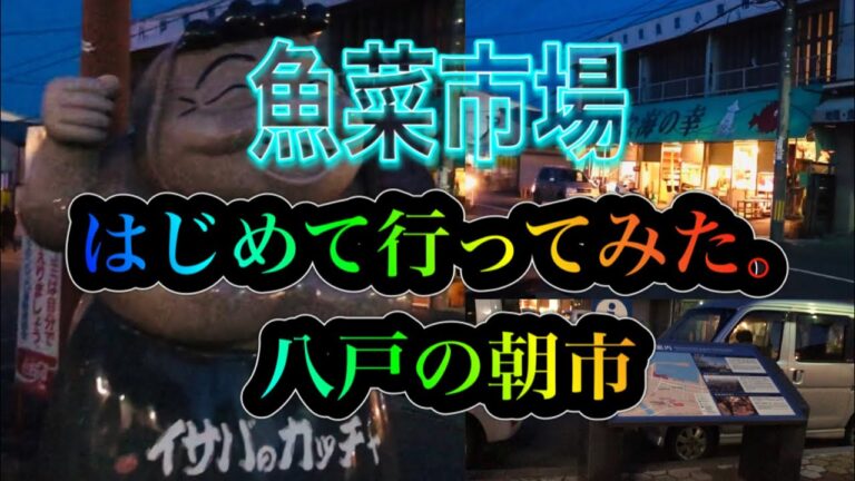 【八戸】八戸朝市。はじめて行ってみた。イサバのカッチャがいる‼︎八戸館鼻岸壁じゃない朝市(ﾟ∀ﾟ)