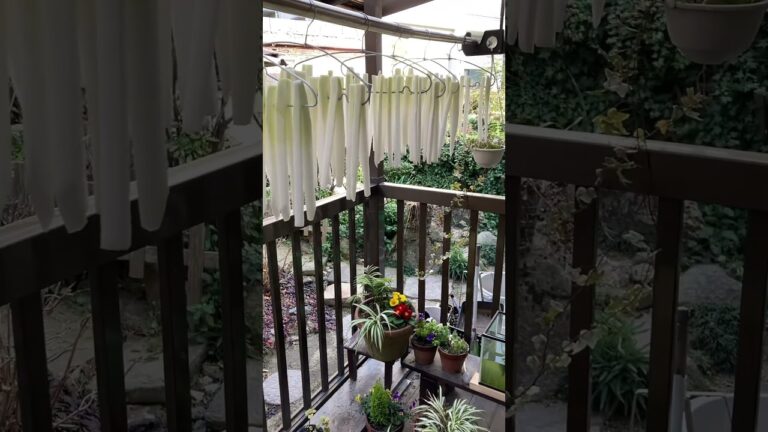 「切り干し大根」作りに初挑戦　内蔵脂肪対策に