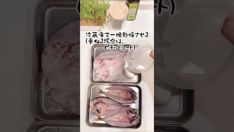【自分で作れば100円未満⁉︎】自宅で簡単干物作りと鯛のアクアパッツァ風煮込 #cooking #shorts