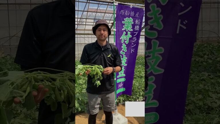 “葉付き枝豆”をご紹介！【船橋ブランド】