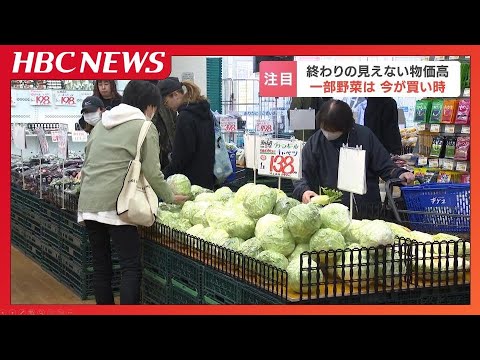 キャベツや白菜、レタスなどの高値が続いていた野菜が値下がり傾向に…今後は長ネギやナス、トマトが狙い目　止まらない物価高の中でお得な野菜とは？