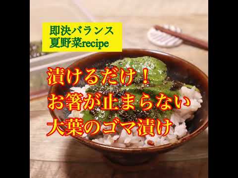 【大葉レシピ】漬けるだけで簡単！やみつきになる大葉のごま漬けを管理栄養士が作ります！#shorts
