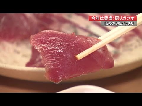 秋の甘み感じる“戻りガツオ”　旬は11月末まで【高知】 (20/10/06 19:00)