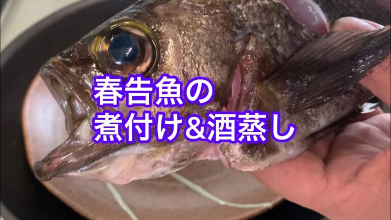 【今日のオレ飯】春告魚の煮付け&酒蒸し