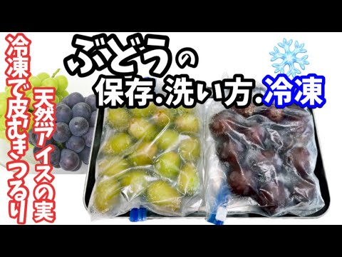 197.ぶどうの保存.洗い方.冷凍・冷凍で皮むきつるり天然アイスの実