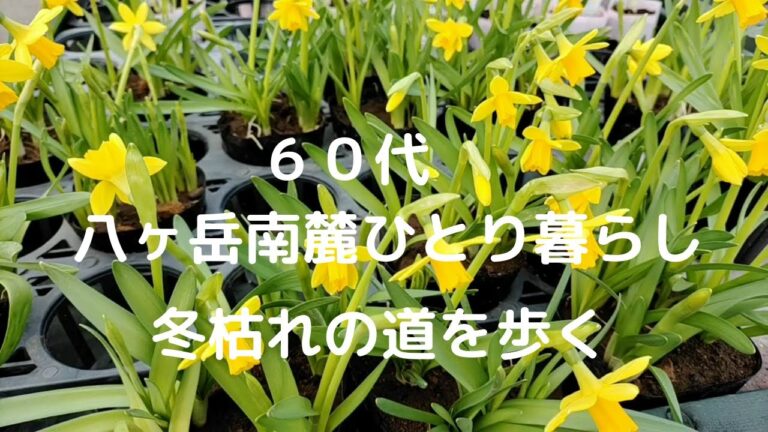 【八ヶ岳南麓６０代一人暮らし】 #４ 冬の風景/パンを作る/田舎暮らし/移住暮らし/シニアライフ