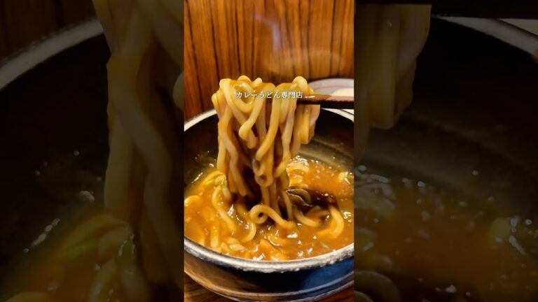 【有楽町　慶屋】うどん百名店を3度受賞。有楽町の高架下にあるカレーうどん専門店！