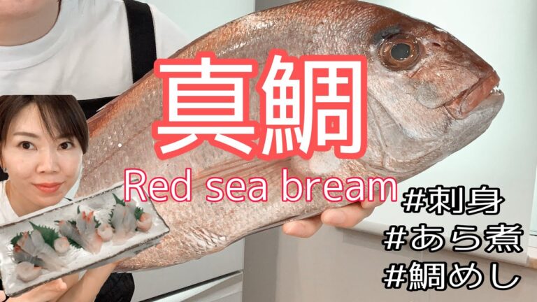 【鯛レシピ】丸ごと１匹で3品作ったよ!!【鯛めし】【鯛の刺身】【鯛のあら煮】