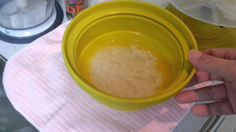 ジャポネ　ライススチーマー