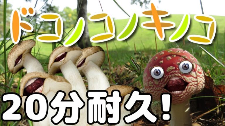 【連続再生】ドコノコノキノコ 20分連続再生【キノコが踊る！】