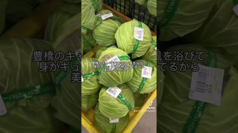キャベツ好き必見！！
