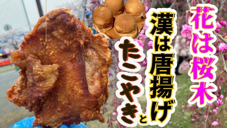 いぶくろギュ～ッ番外編　【花見とたこやきと唐揚げ】　#青森  #花見 #唐揚げ #たこ焼き