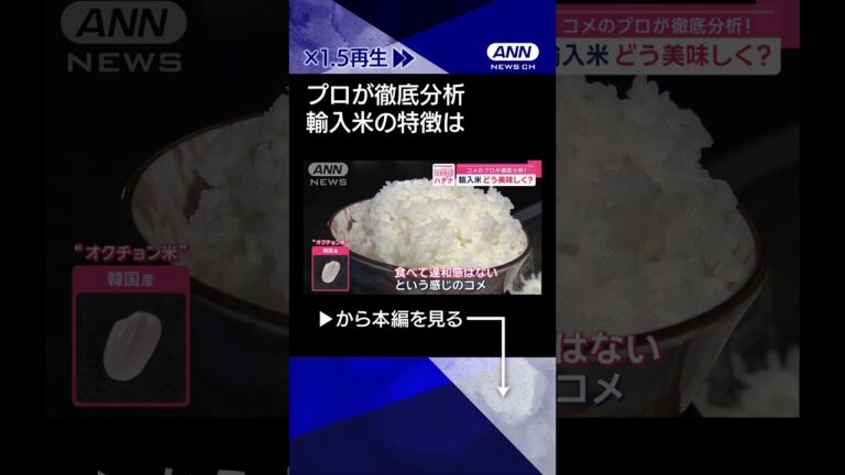 【ニュース】プロがおススメ！　輸入米の美味しい食べ方は？#shorts