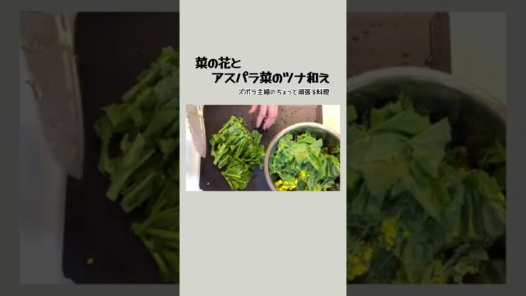 #shorts 【菜の花とアスパラ菜のツナ和え】旬の食材／ほろ苦を味わおう／最強ツナ／大人の楽しみ／本編概要欄に材料の記載あり　#菜の花#アスパラ菜#ツナ和え#旬の食材#大人の味#料理#副菜#ほろにが