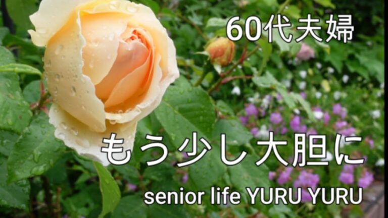 【シニアライフ】料理に慎重な夫、天津飯、庭の様子、芝刈りをしました、