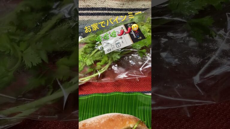 朝からお家で作るバインミー🌿🌿🌿🌶️🌶️